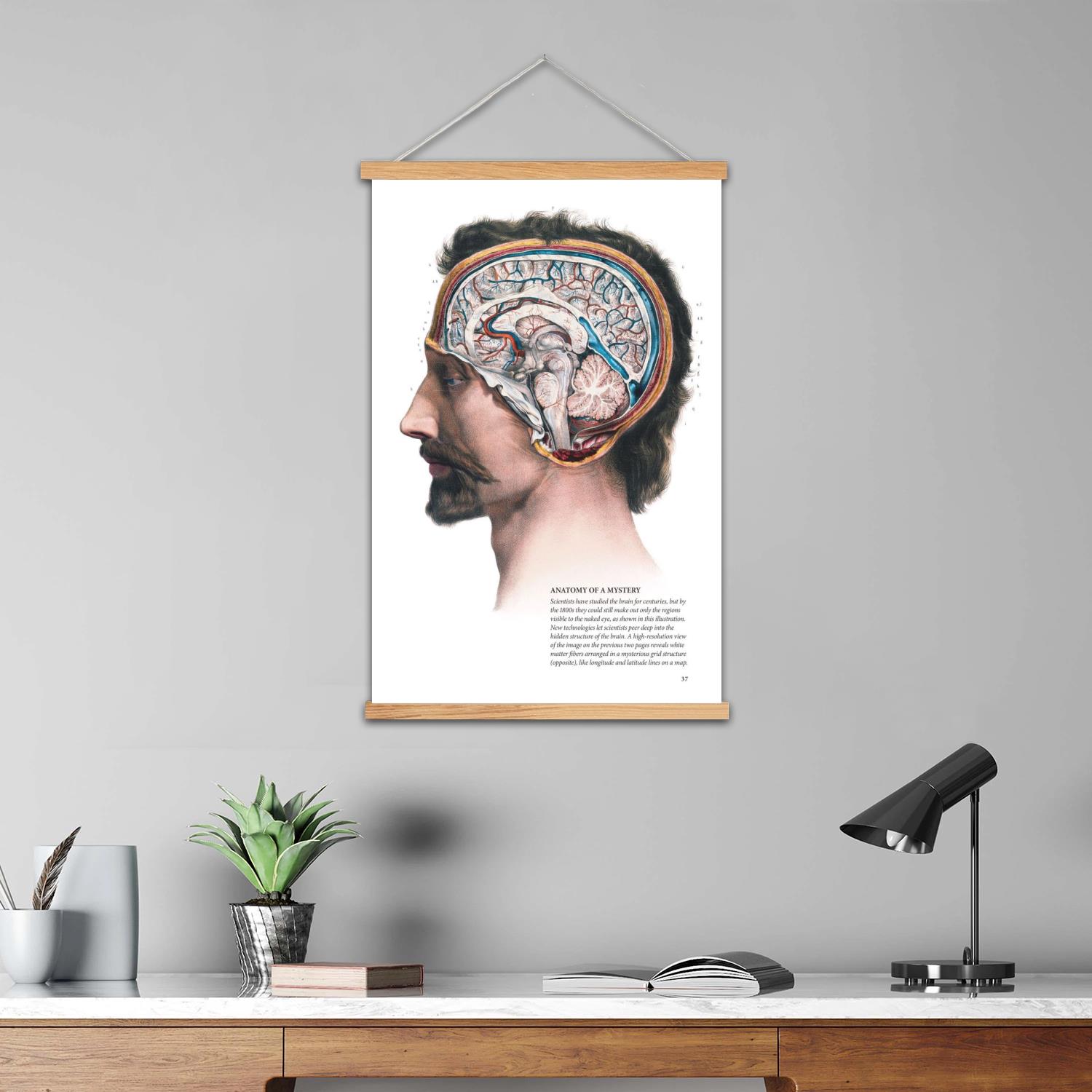 Gehirn gerahmte Wandmalerei Le – Art Print Framed Bewertung und Preis