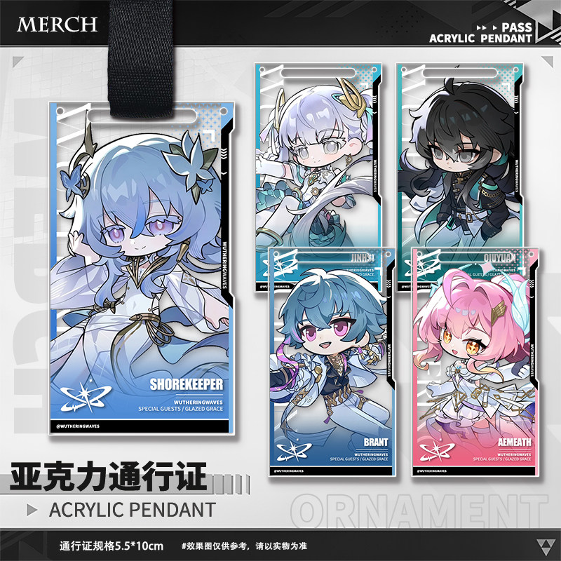 Game Wuthering Waves Aemeath T – Anime Merchandise Bag Bewertung und Preis