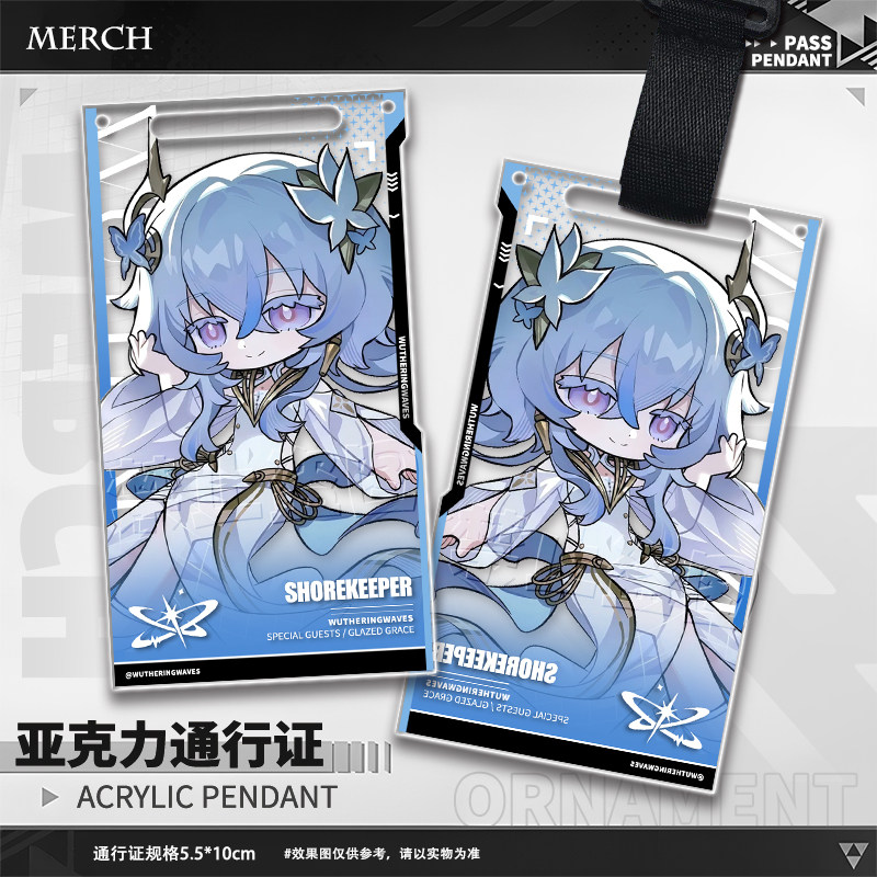 Game Wuthering Waves Aemeath T – Anime Merchandise Bag Bewertung und Preis